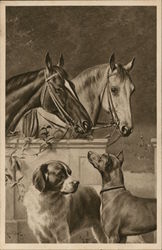 Pair of Horses and Dogs Postcard Postcard