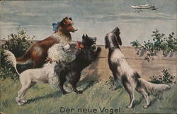 Dogs Barking at Airplane Postcard Postcard