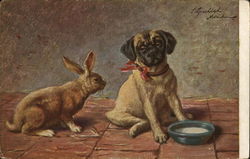 Rabbit Staring at a Pug (Dog) Multiple Animals Postcard Postcard