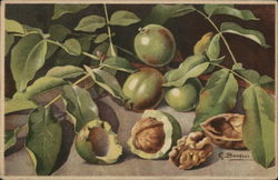 Greenery, Fruits and Nuts Still Life Postcard Postcard