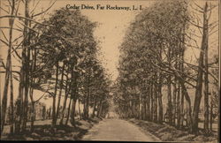 Cedar Drive Far Rockaway, NY Postcard Postcard Postcard