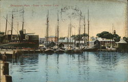 Boats in Harbor Cove Postcard