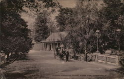 Driveway in Beautiful Burnet Woods Park Cincinnati, OH Postcard Postcard Postcard