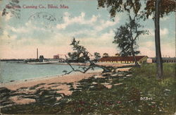 Barataria Canning Co Biloxi, MS Postcard Postcard Postcard