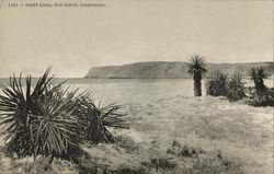 Point Loma San Diego, CA Postcard Postcard Postcard