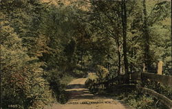 Lovers' Lane Lebanon, NH Postcard Postcard Postcard