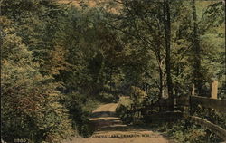 Lovers' Lane Lebanon, NH Postcard Postcard Postcard