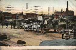 Cotton Yard New Orleans, LA Postcard Postcard Postcard