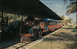 Sight Seeing Train, Hugh Taylor Birch State Park Fort Lauderdale, FL Postcard Postcard Postcard