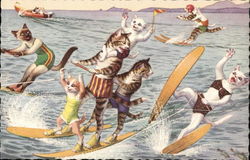 Cats Waterskiing Postcard Postcard Postcard