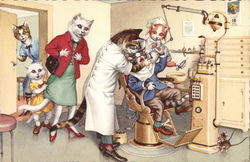 Cats at the dentist Dressed Animals Postcard Postcard Postcard