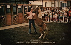 Kristina, Land of Little Horses Gettysburg, PA Postcard Postcard Postcard