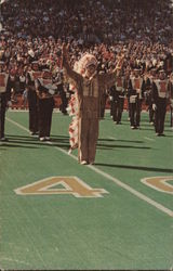 Chief Illiniwek at Memorial Stadium Postcard