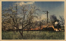 Southern Pacific "Daylight" Aromas, CA Postcard Postcard Postcard