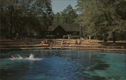 Juniper Springs Recreational Area, Ocala National Forest Silver Springs, FL Postcard Postcard Postcard