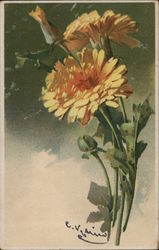 Yellow Flowers with Green Leaves Postcard