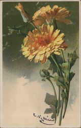 Orange Flowers with Buds and Green Leaves C. Klein Postcard Postcard