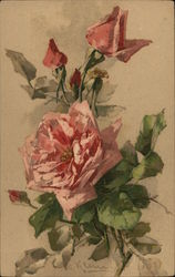 Rose C. Klein Postcard Postcard