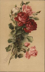 Red, Pink and White Roses C. Klein Postcard Postcard