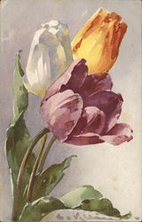 Purple, Yellow, and White Flowers C. Klein Postcard Postcard