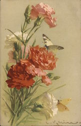 Flowers and Butterflies Postcard