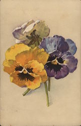 Colorful Flowers Postcard