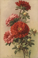 Red Flowers Postcard