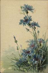 Blue Flowers with Spiked Leaves Postcard