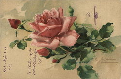 Pink Roses C. Klein Postcard Postcard