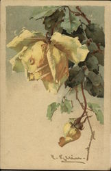 Yellow Rose with Raindrop and Green Leaves C. Klein Postcard Postcard