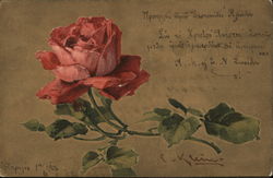 Rose Postcard 1906 Artist Catherine Klein C. Klein Postcard Postcard