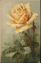 Yellow Rose with Green Stem and Leaves C. Klein Postcard Postcard