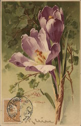 Purple Flowers with Green Leaves Postcard