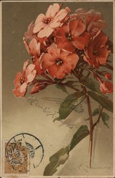 Red Flowers C. Klein Postcard Postcard