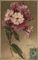 Purple Flowers C. Klein Postcard Postcard