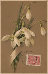 White Flowers Postcard