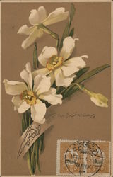 White Flowers C. Klein Postcard Postcard