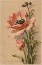 Pink Flowers Postcard