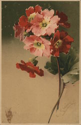 Pink and Red Flowers with Green Leaves C. Klein Postcard Postcard