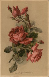 Roses Postcard