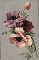 Anemones C. Klein Postcard Postcard