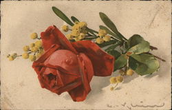 Single Red Rose with Yellow Berries, Green Leaves C. Klein Postcard Postcard