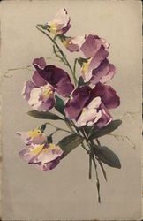 Pansies C. Klein Postcard Postcard