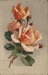 Roses Postcard