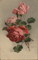 Pink Roses with Buds and Green Leaves C. Klein Postcard Postcard