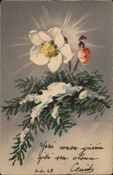 White and Yellow Flower with Pine Needle Sprig C. Klein Postcard Postcard