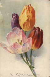 Tulips C. Klein Postcard Postcard