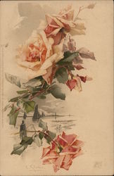 Rose C. Klein Postcard Postcard