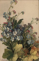 Bouquet of Forget-Me-Nots C. Klein Postcard Postcard