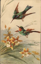 Hummingbirds and Flowers C. Klein Postcard Postcard